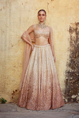 The Rose Dusk Lehenga Choli