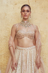 The Rose Dusk Lehenga Choli