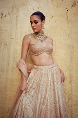 The Rose Dusk Lehenga Choli